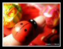 coccinelle1
