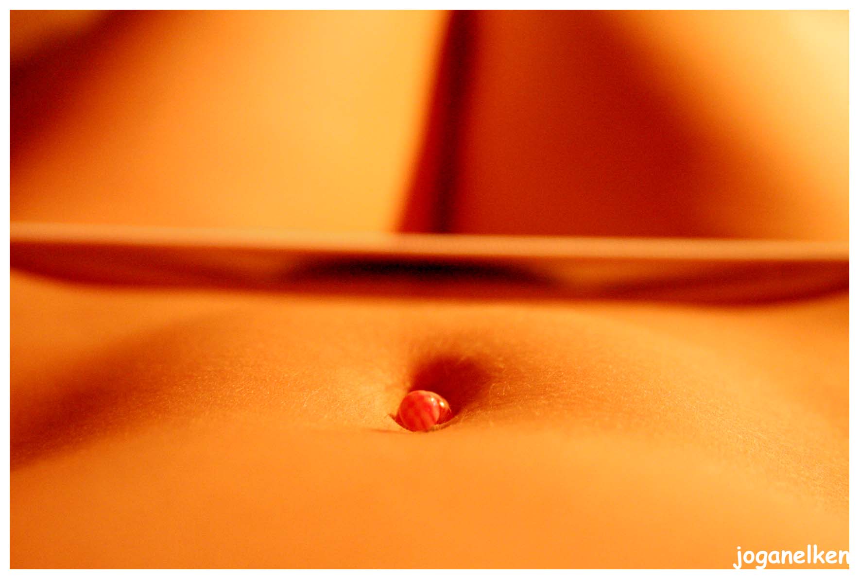 pubis