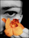 orchidée marie